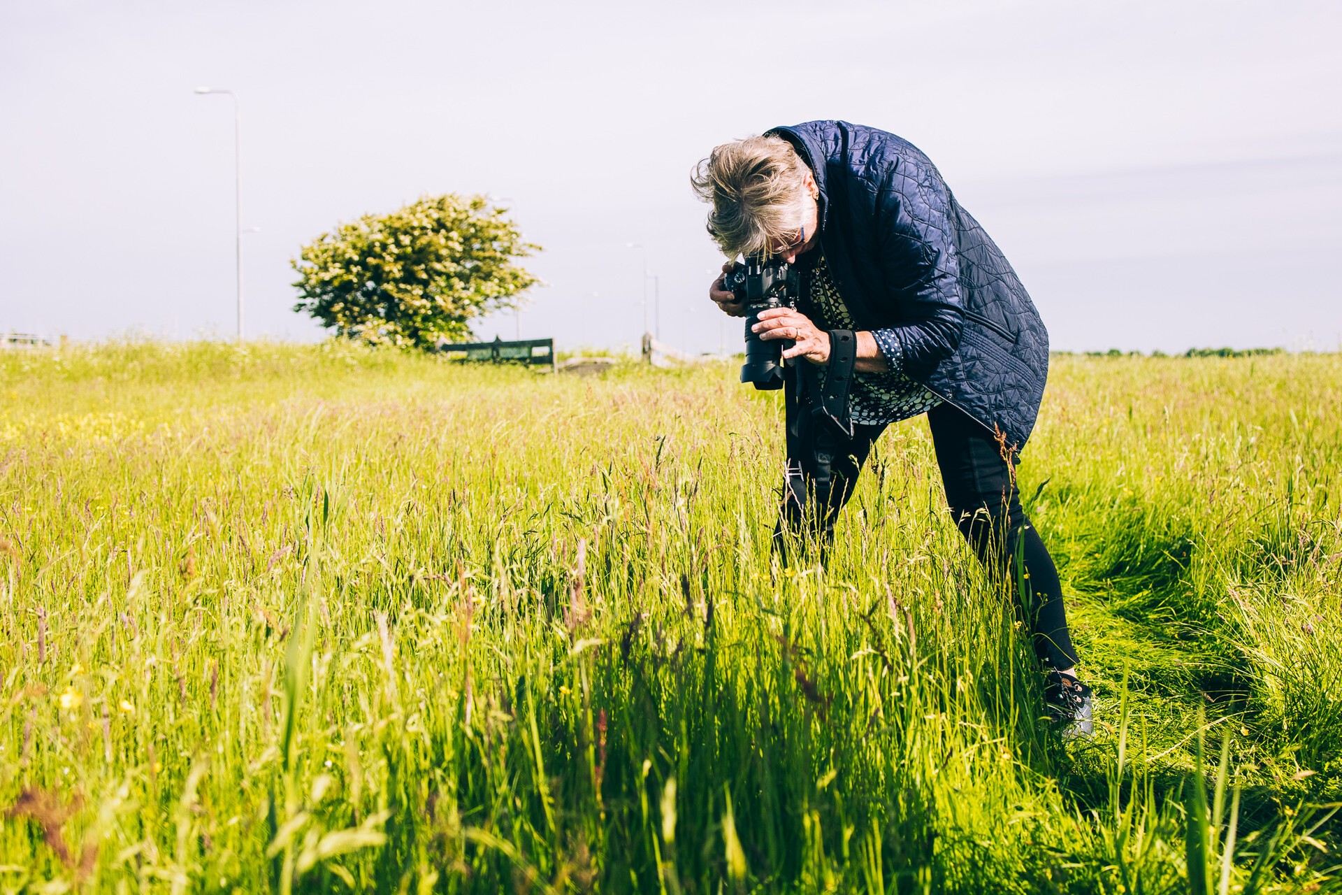 Oernatuur van het Limmerdie