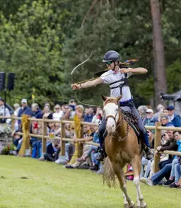 Weekend van het Paard