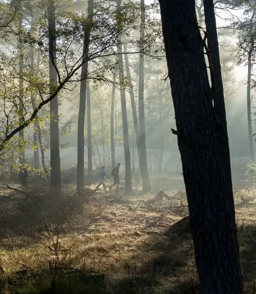 Hoge Veluwe Wandeldag
