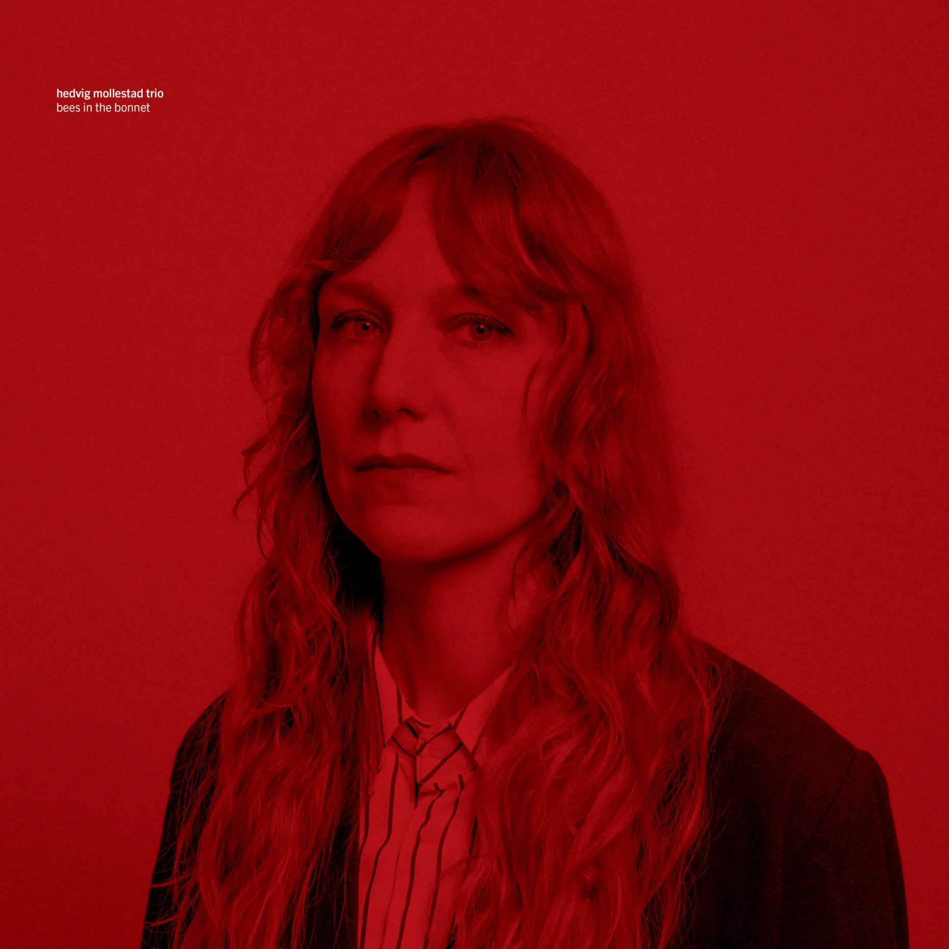 Hedvig Mollestad Trio 
