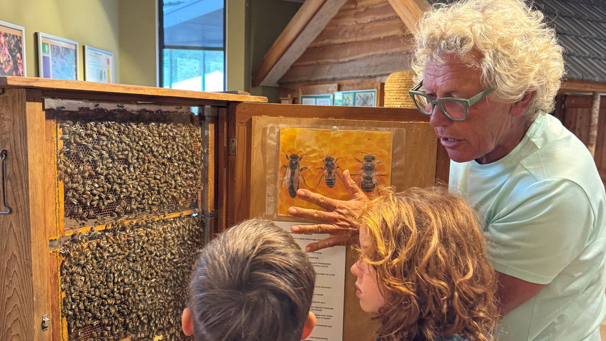 Bijenexpositie Schoorlse Duinen