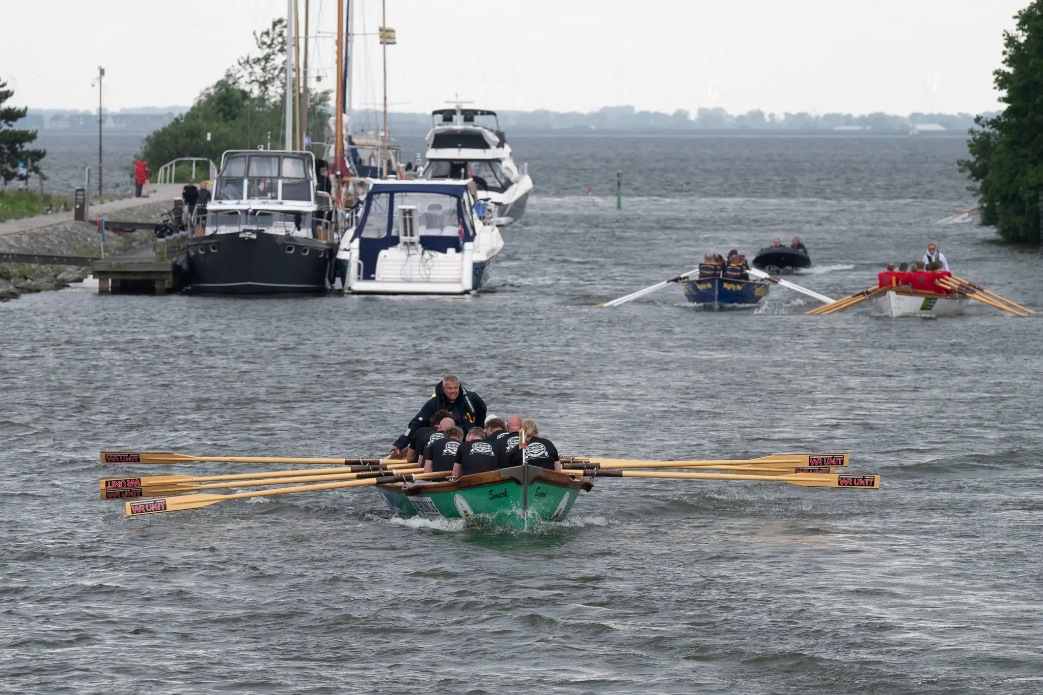 Sloeproeiwedstrijd Aaltjesdagen Harderwijk