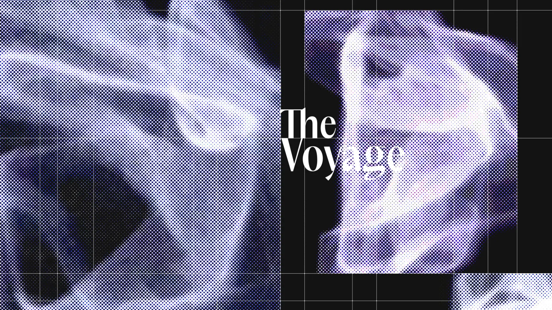 The Voyage