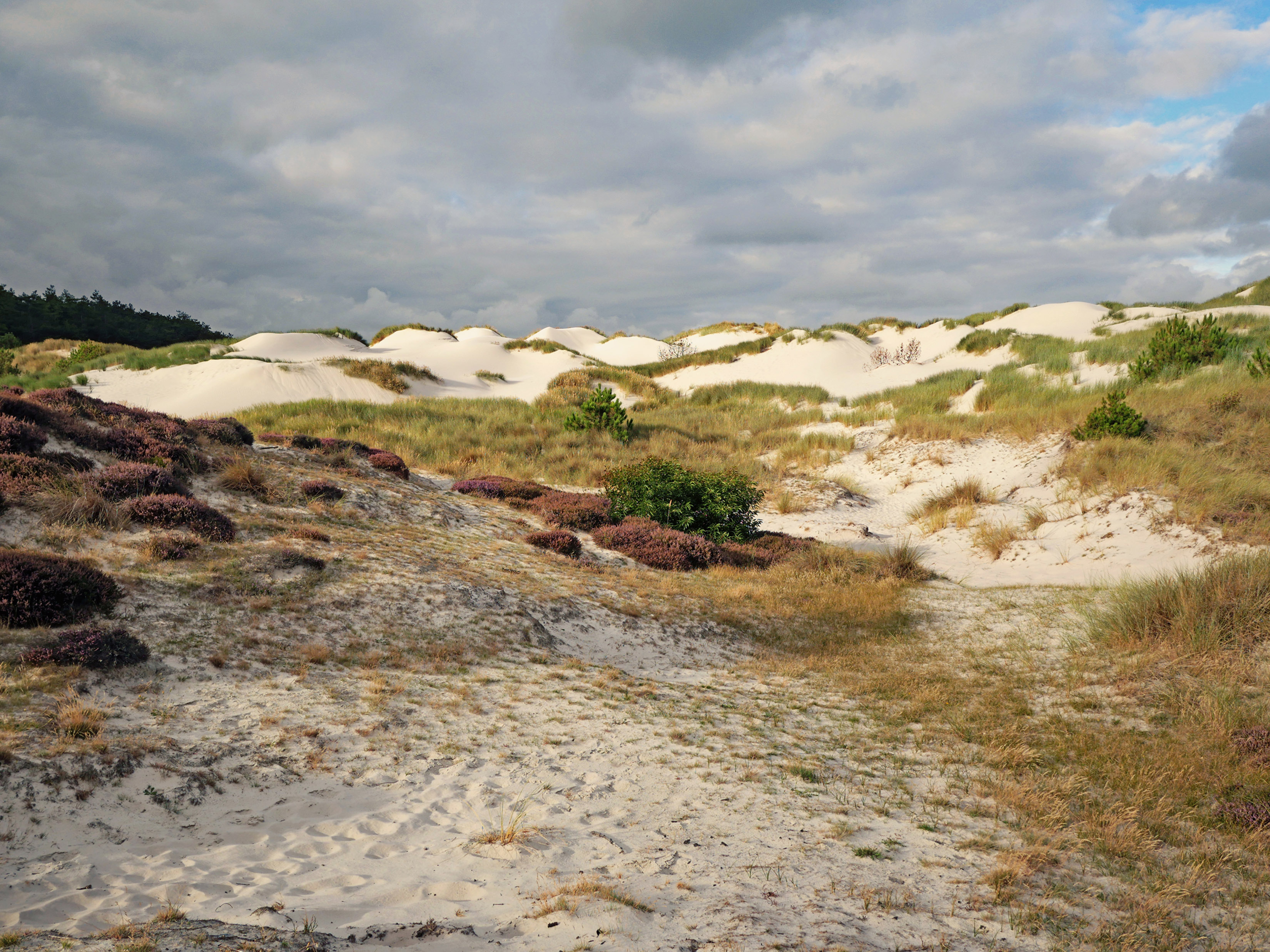 Het ontstaan van de Schoorlse Duinen: Lezing door Pim Weeda