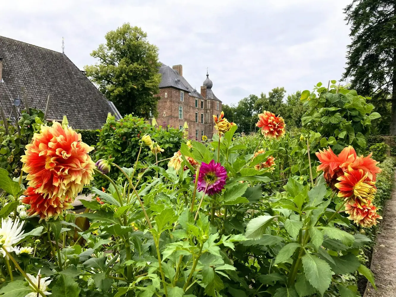 Moestuindag