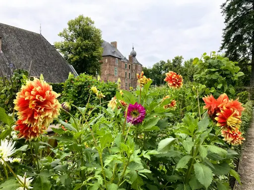 Moestuindag