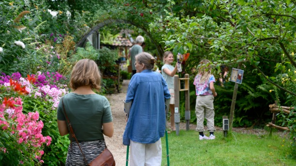Werking van kruiden, inheemse wilde planten en bomen