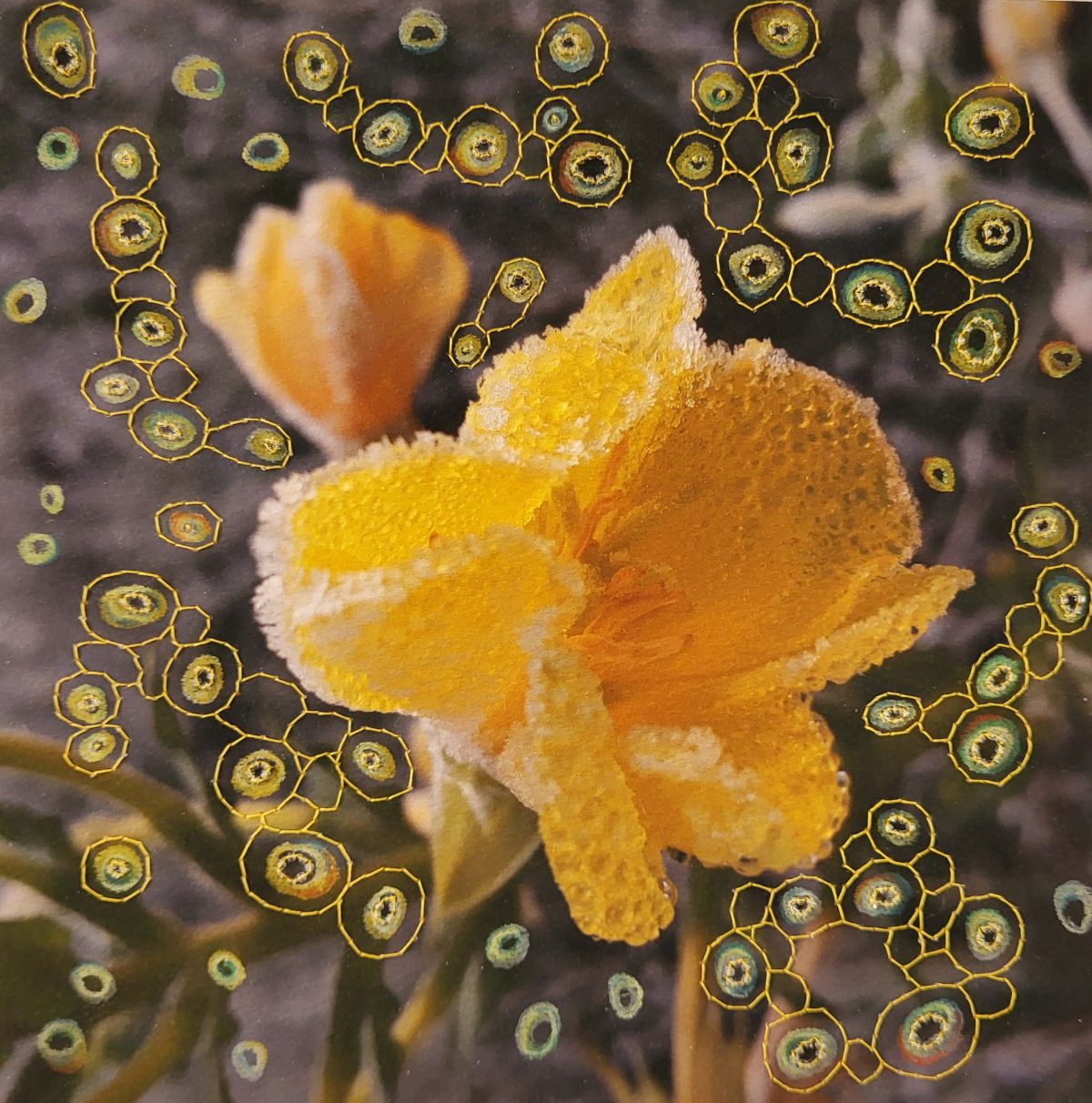 Expositie | KUNST & KAS