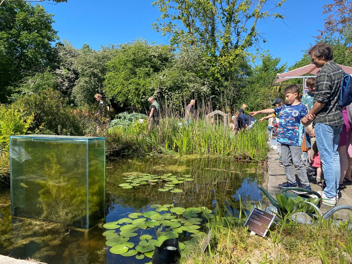 Beestjesdag Hortus Alkmaar