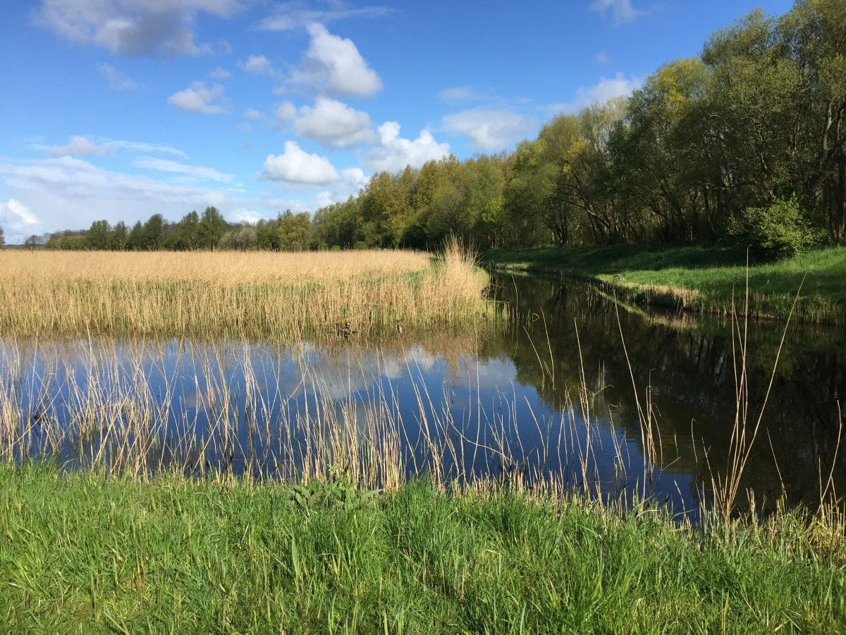 Seizoenwandeling door natuurgebied Kleimeer