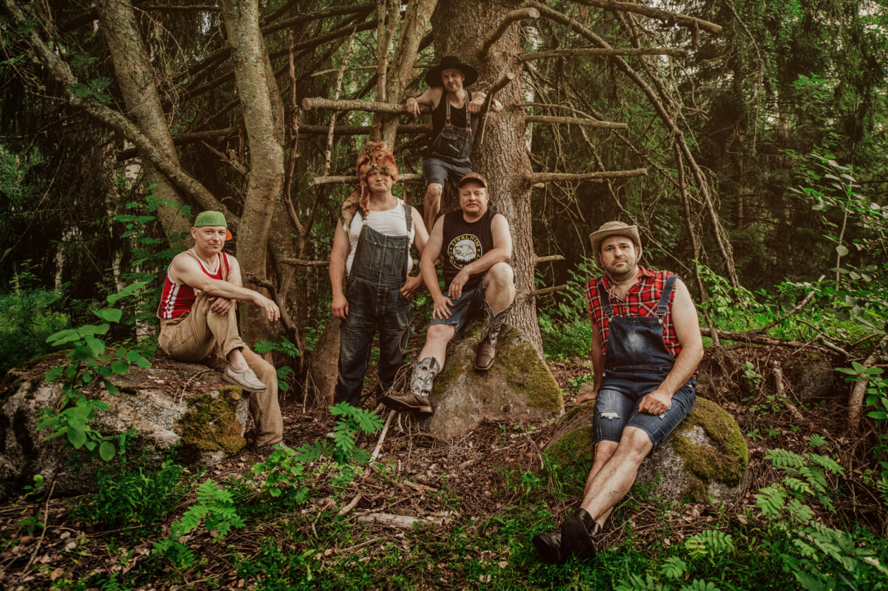 Steve ‘n’ Seagulls