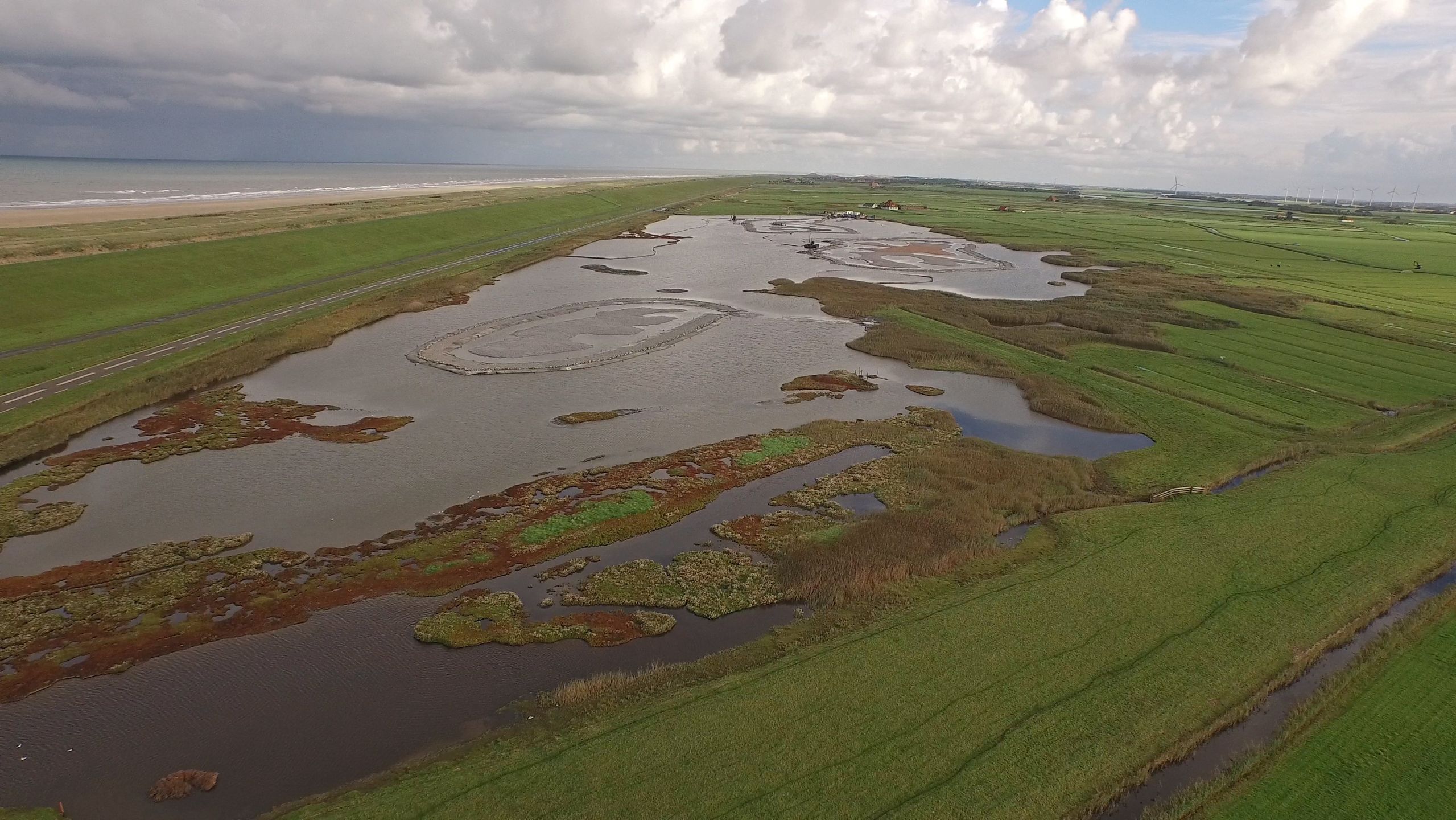 Wandelexcursie door de Harger- en Pettemerpolder