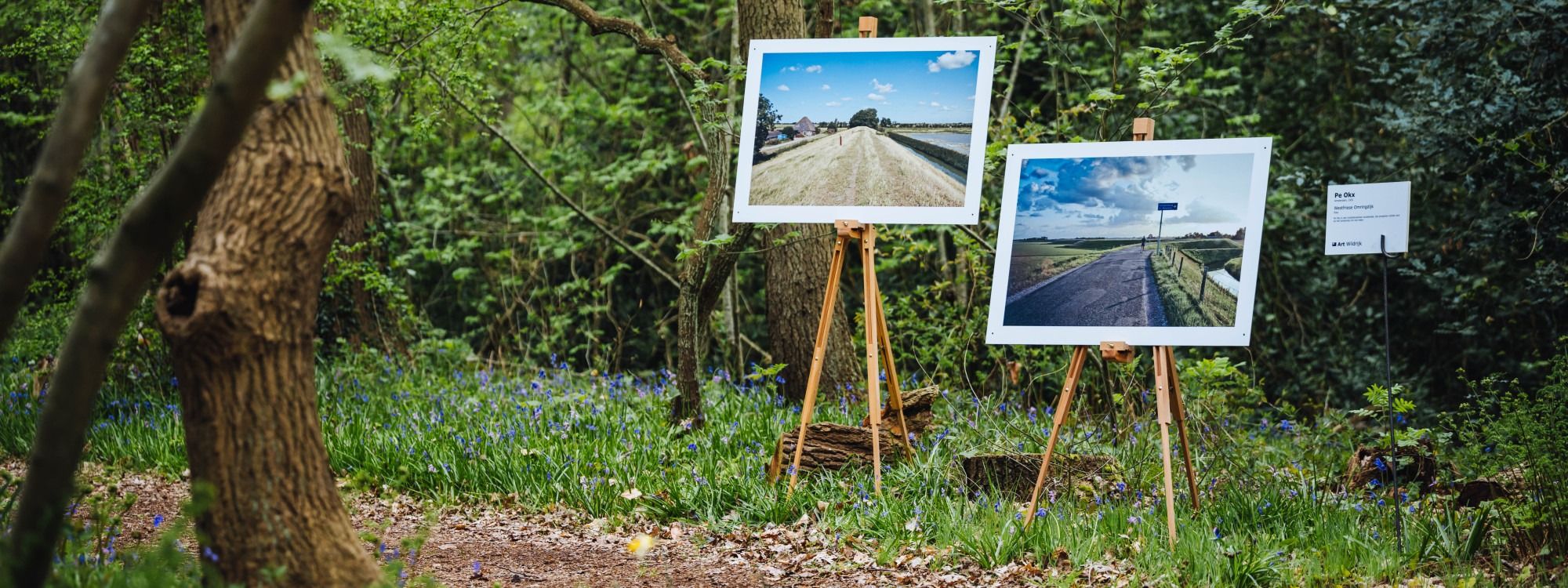Art Wildrijk: Een Zomer Thuis