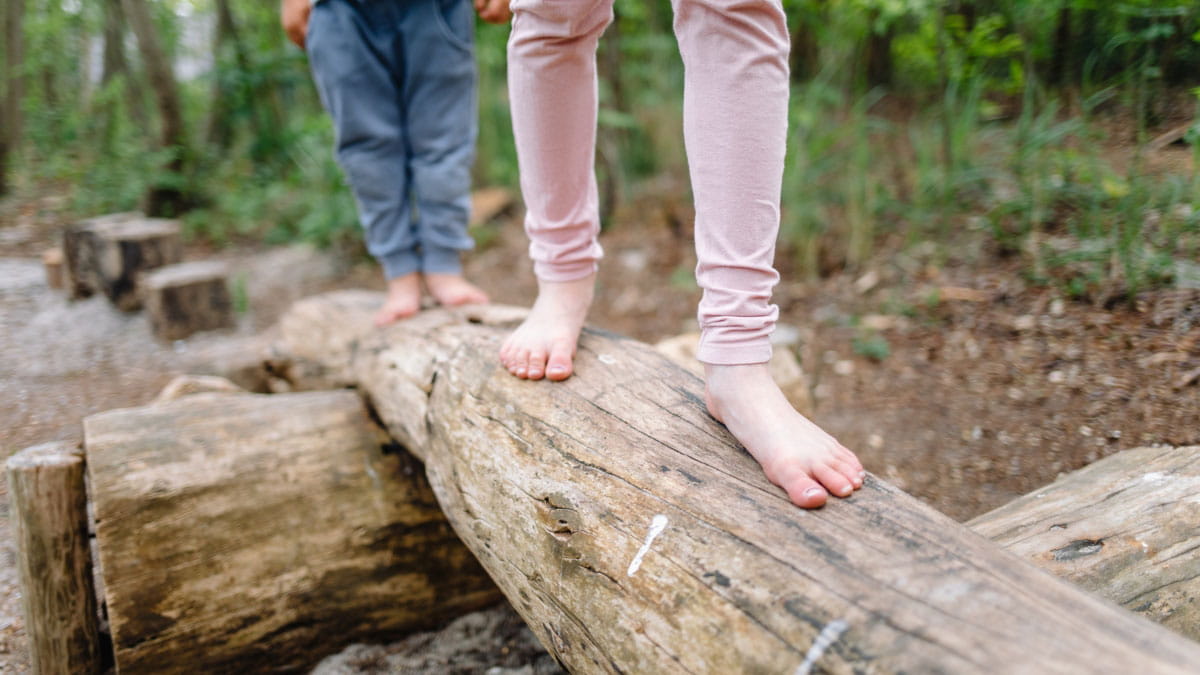 Blotevoetenpad Schoorlse Duinen