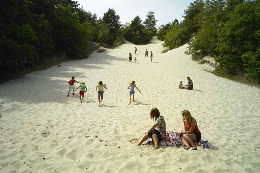 Hogeduinenpad Schoorlse Duinen