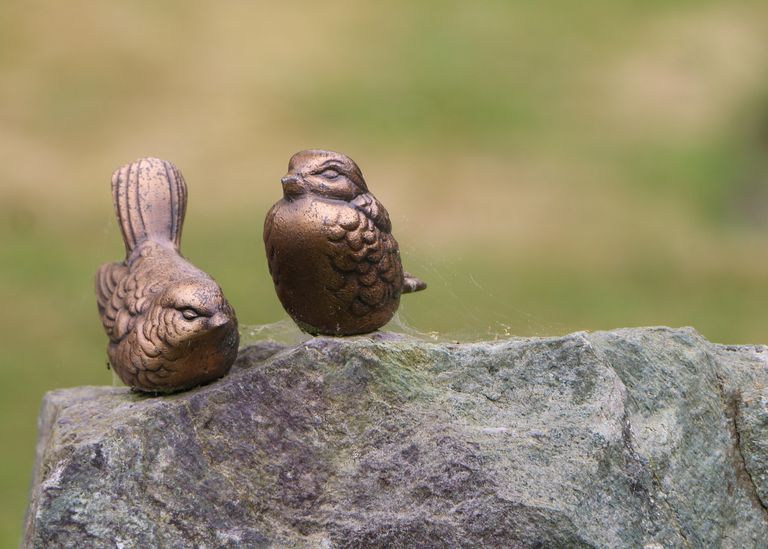 Foto-expositie Waar fotografie, natuur en geschiedenis samenkomen