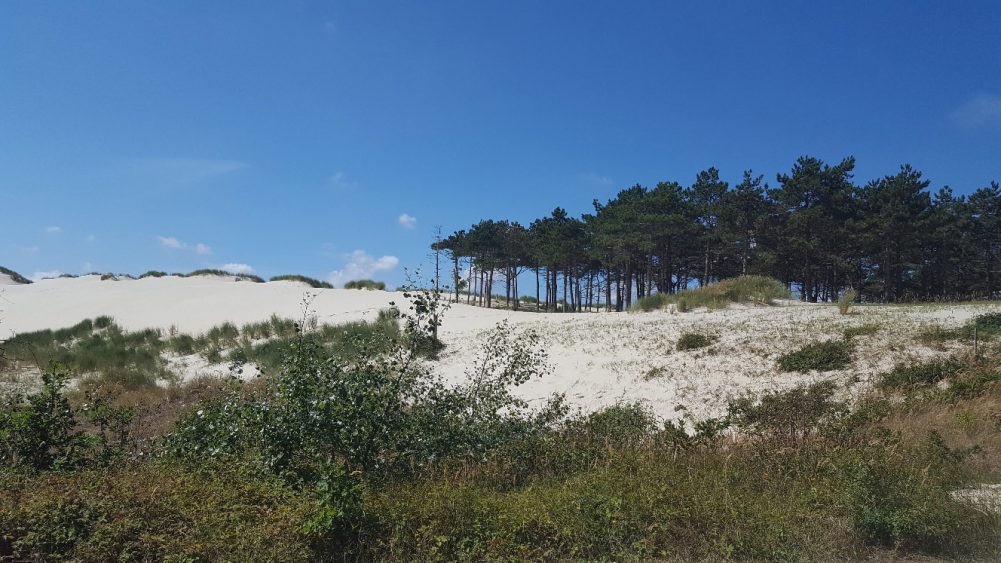 Fietstocht Brede Duinenroute