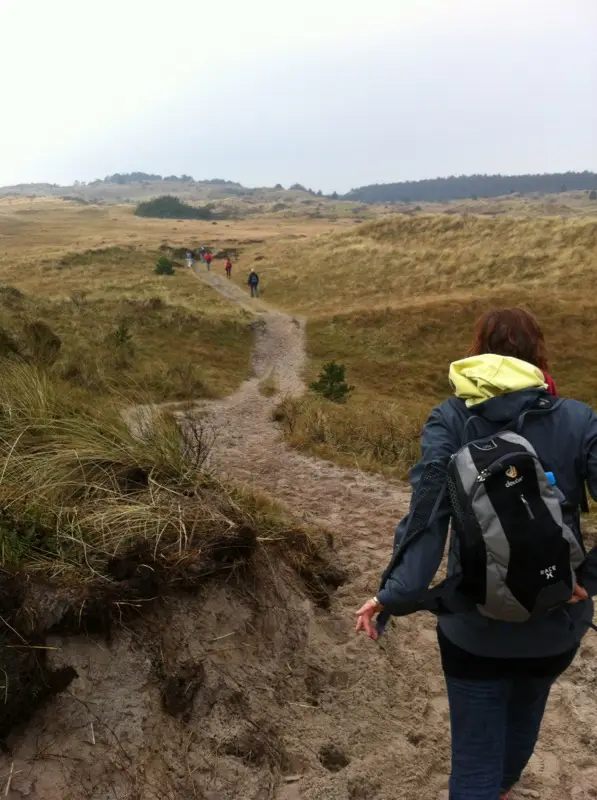 Duinen met vergezichten – Wandel4daagse Schoorlse Duinen