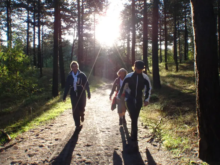 Brede bospaden – Wandel4daagse Schoorlse Duinen