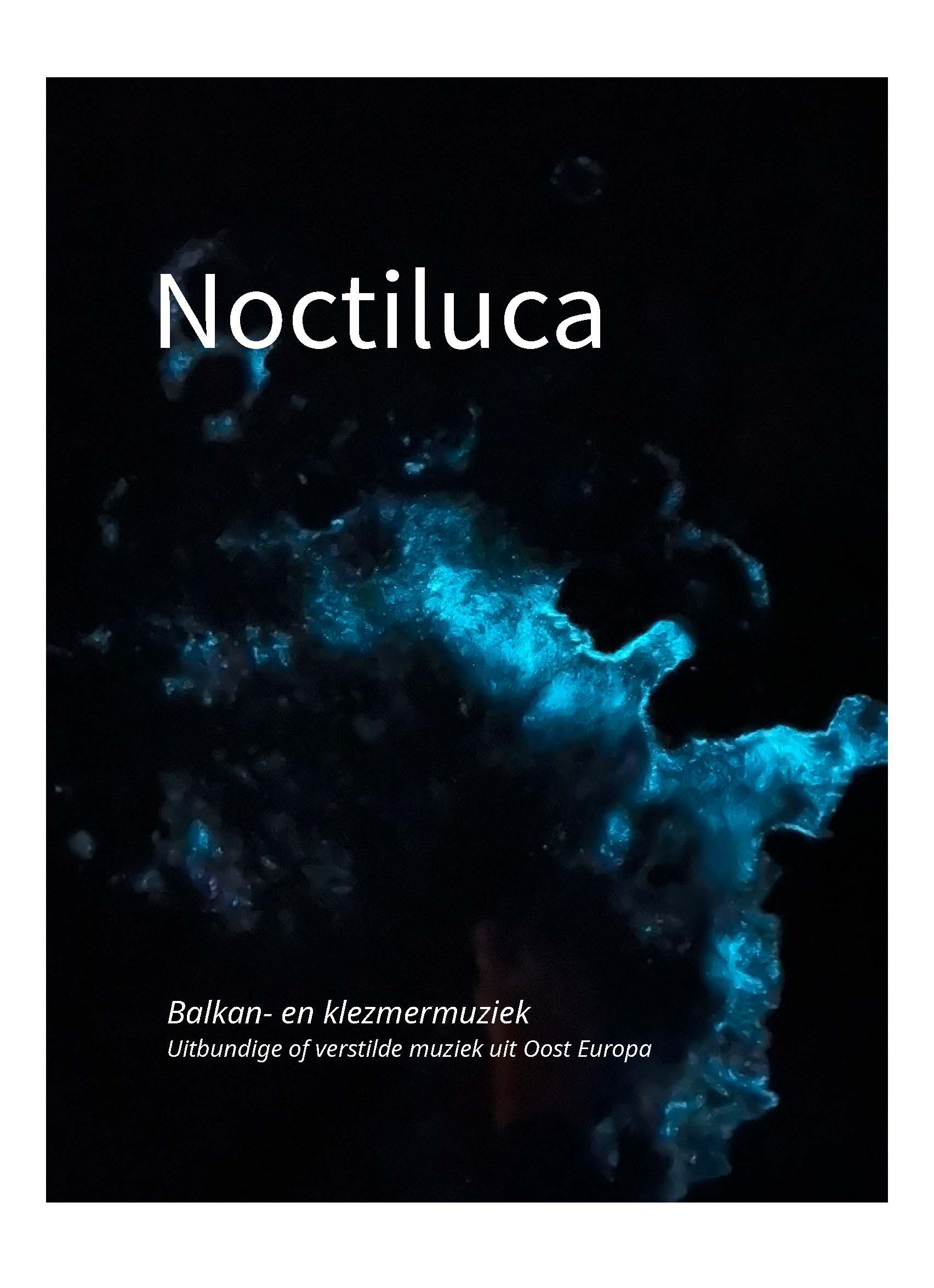 Optreden van Noctiluca, live Balkan-klezmer muziek in Hortus Alkmaar.