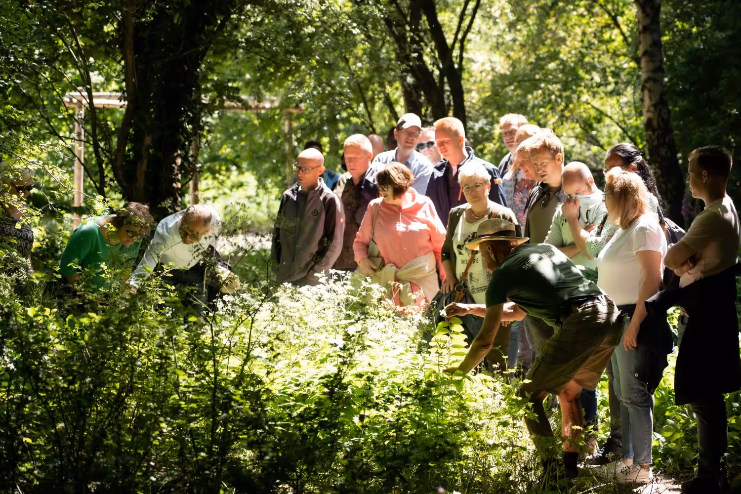 Deelname aan de rondleiding geeft een unieke blik op de tuin voordat deze open is voor het algemene publiek.