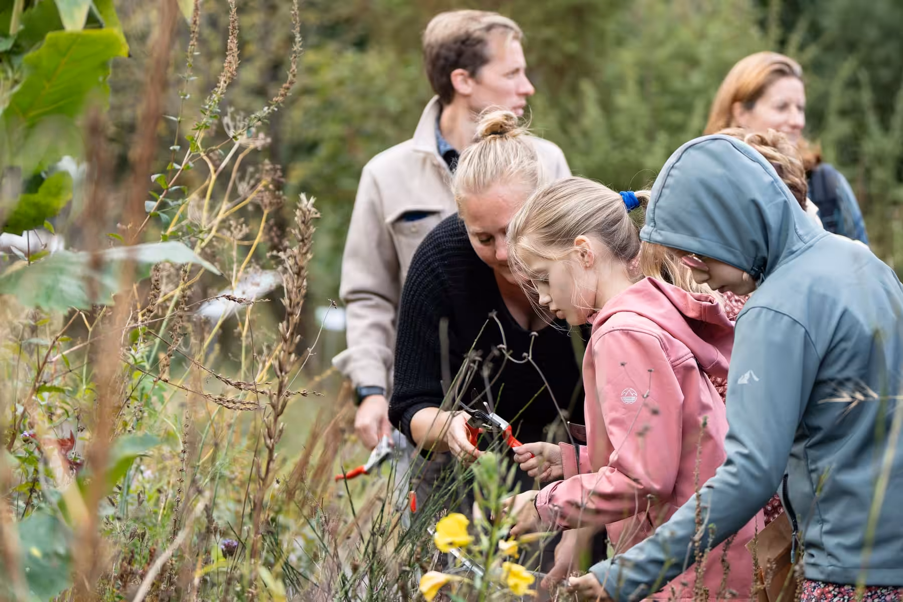 Annelies legt uit hoe je zaden oogst in de tuin van Hortus Alkmaar.