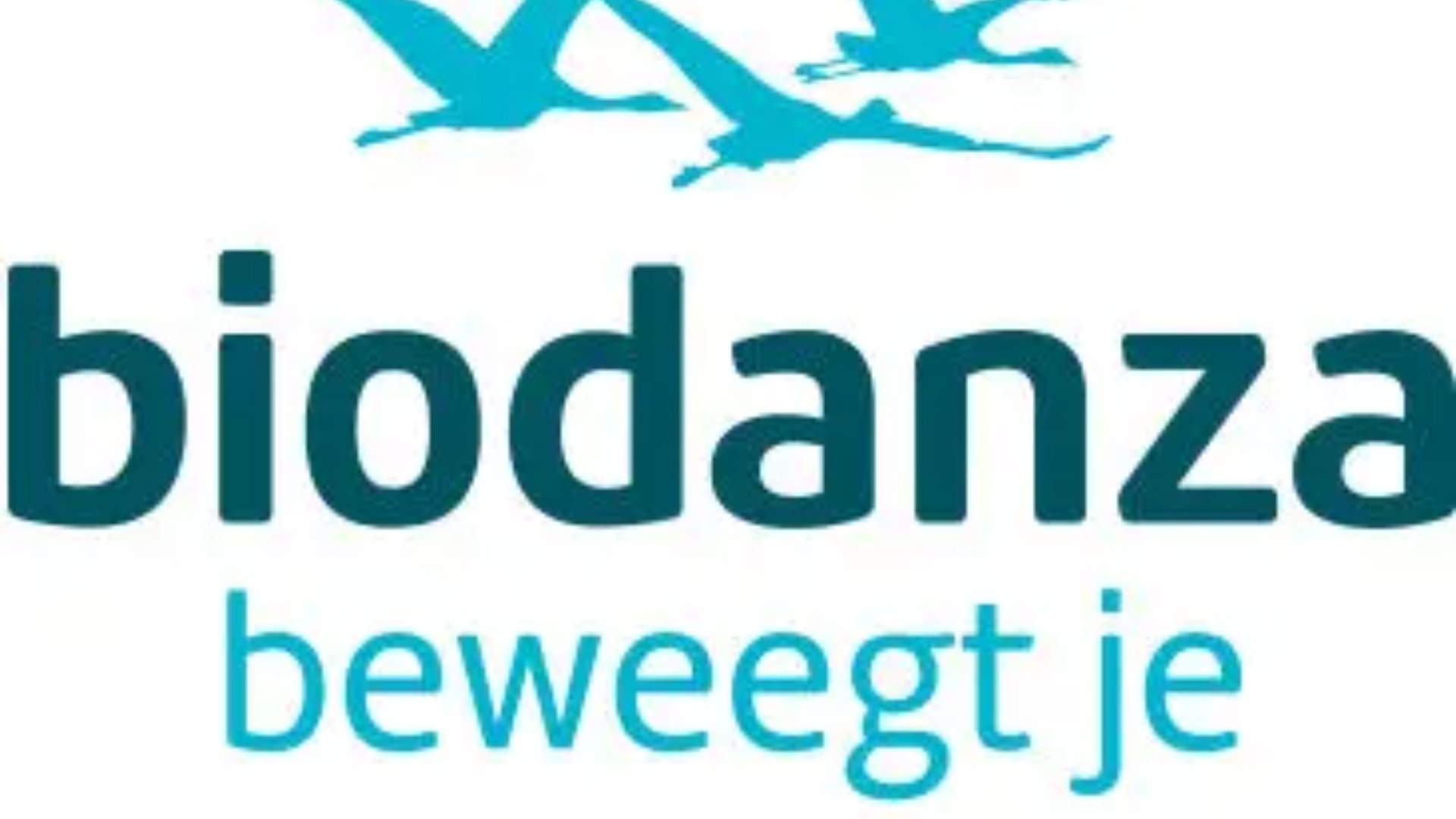 Biodanza bij DOK