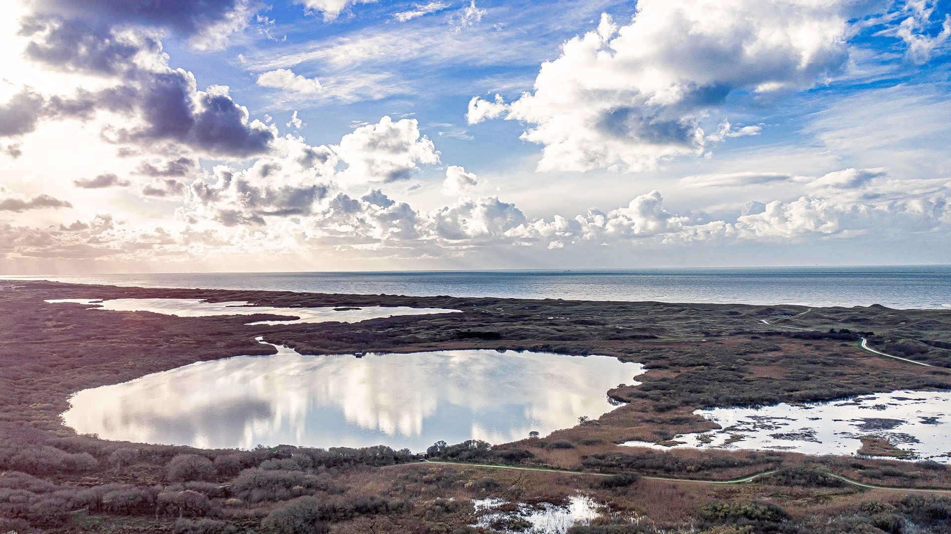 Foto excursie door Het Zwanenwater – Callantsoog