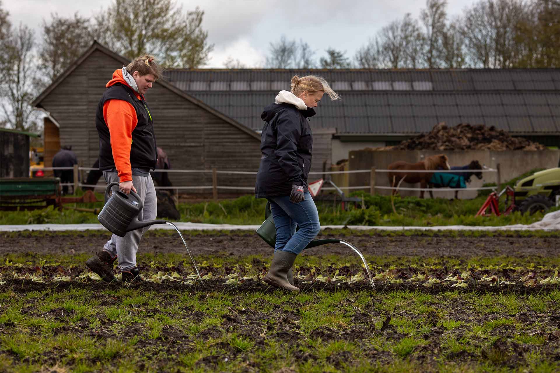 Boerenminicamping Noorderhoeve