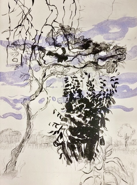 Expositie Kerkje De Woude