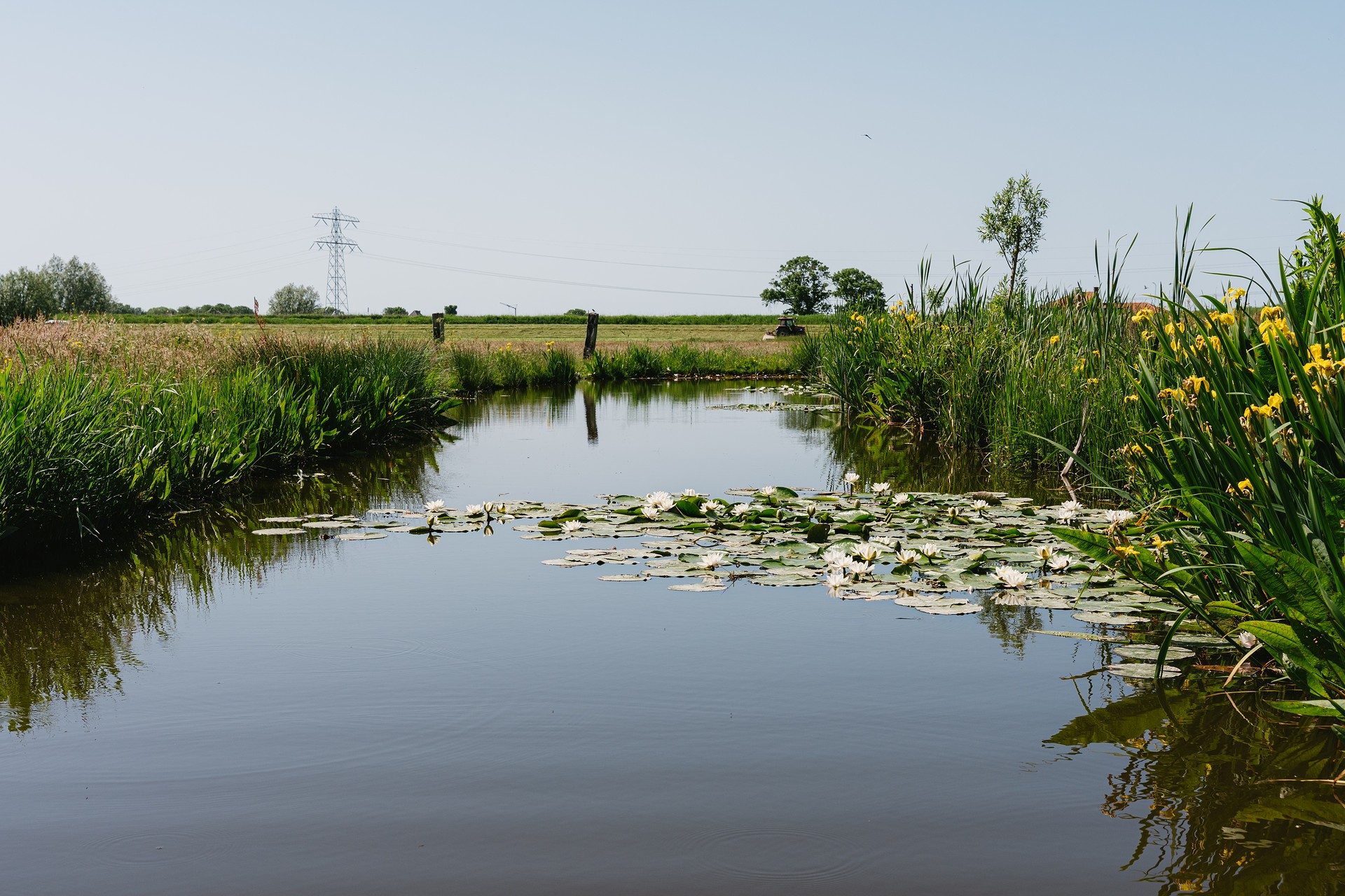 Vaarexcursie Bruikbare natuur in de Eilandspolder