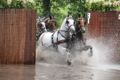 Paardenspektakel Beekbergen