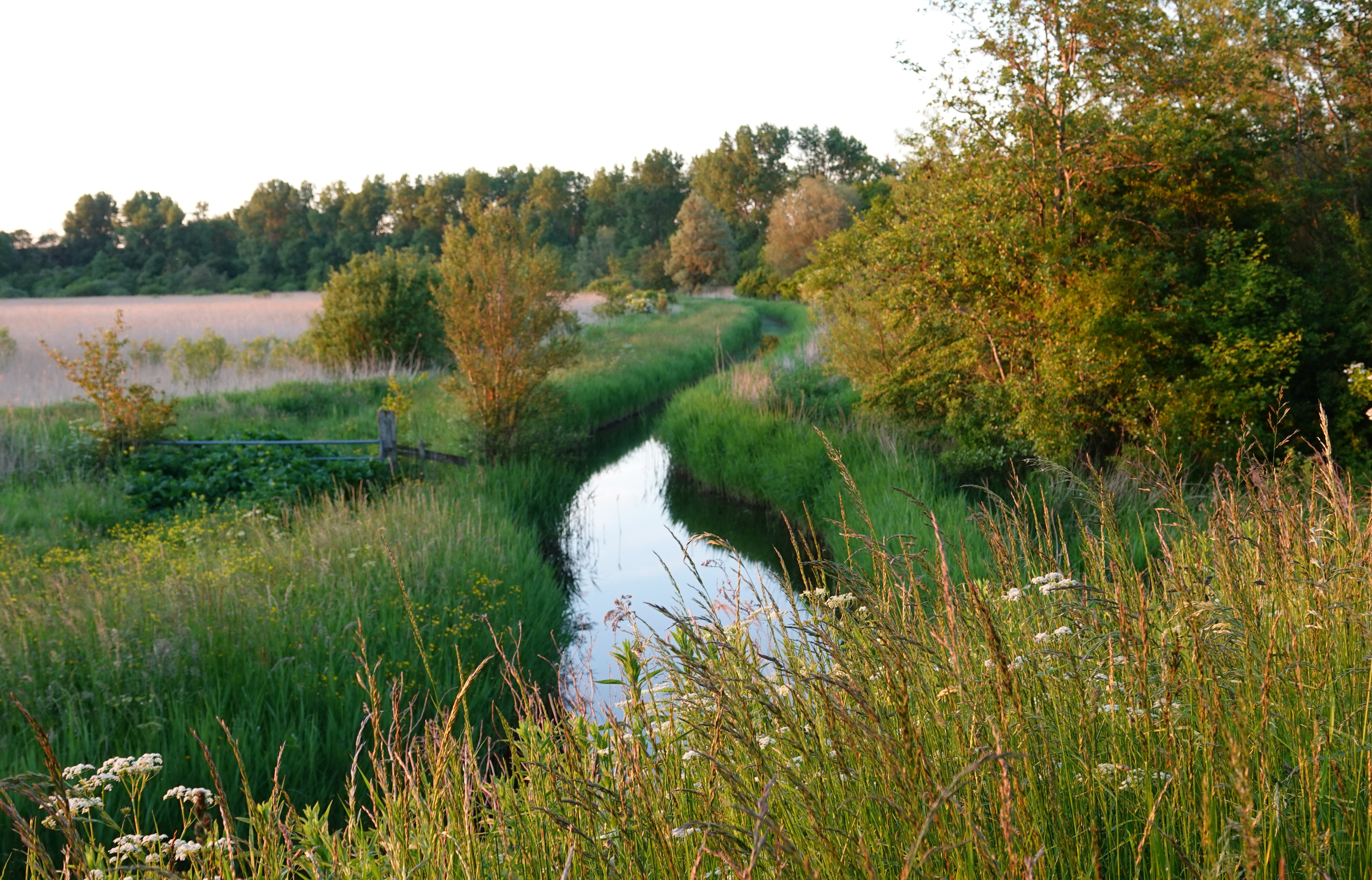 Wandeling Geestmerambacht / Kleimeer