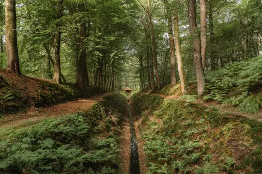 Historisch wandelbezoek
