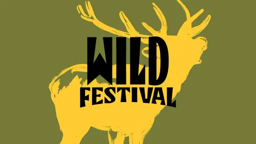 Wildfestival