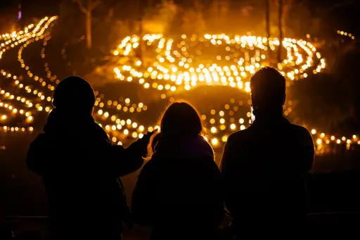 Winterheul: Magische Avondwandeling in Apenheul