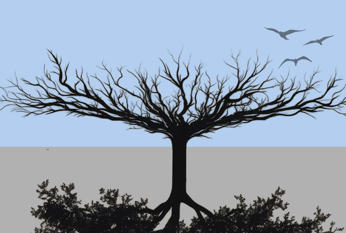 Artwork for Luchtwortels – Feit en fictie in landschappen op hoogte