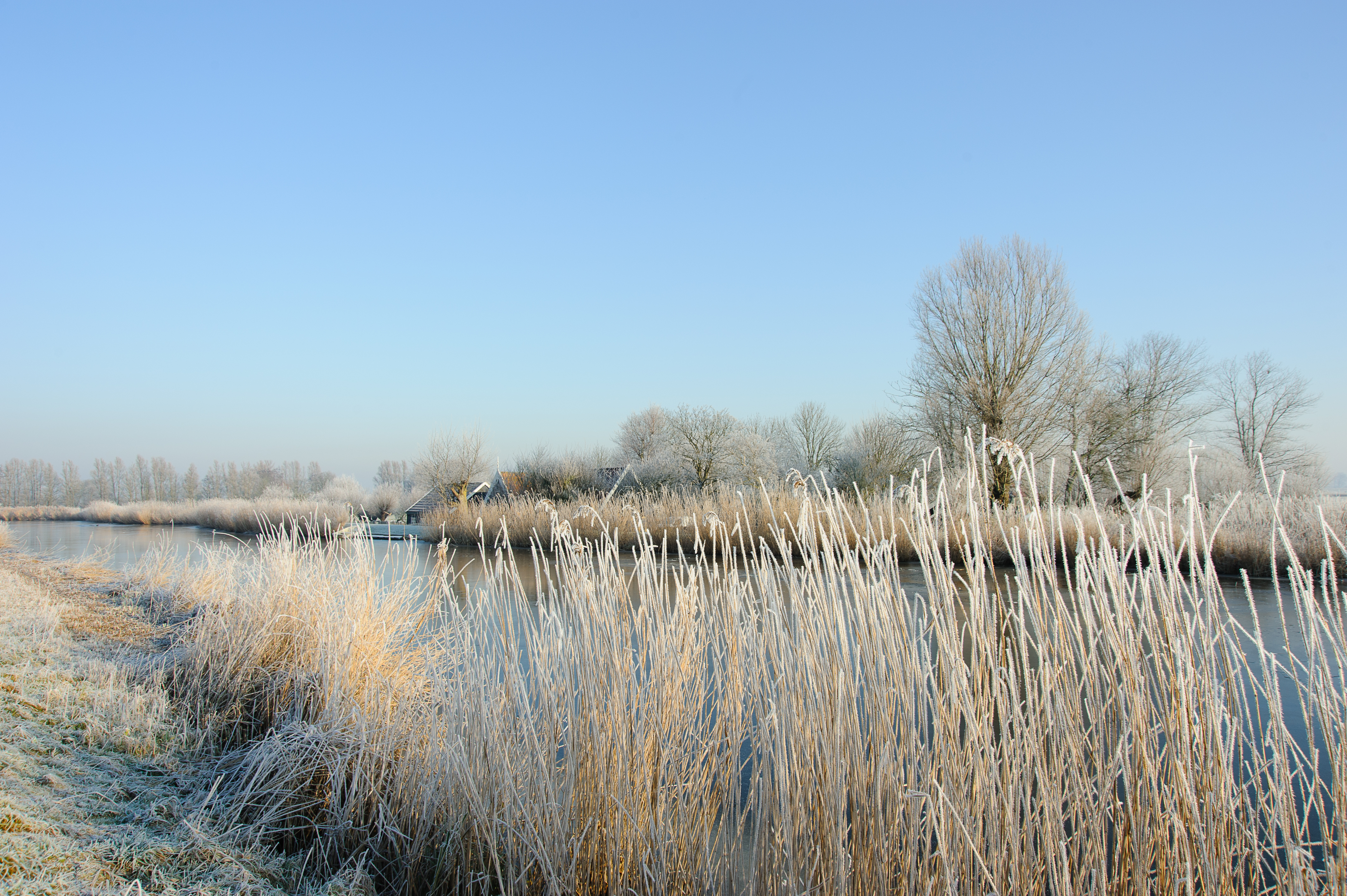 Wintertocht door de Eilandspolder