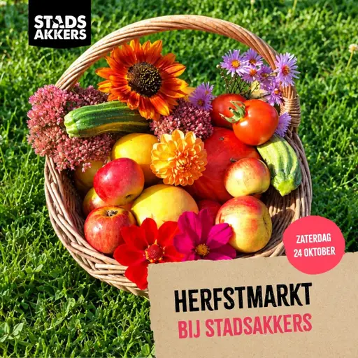 Herfstmarkt en Open Dag StadsAkkers