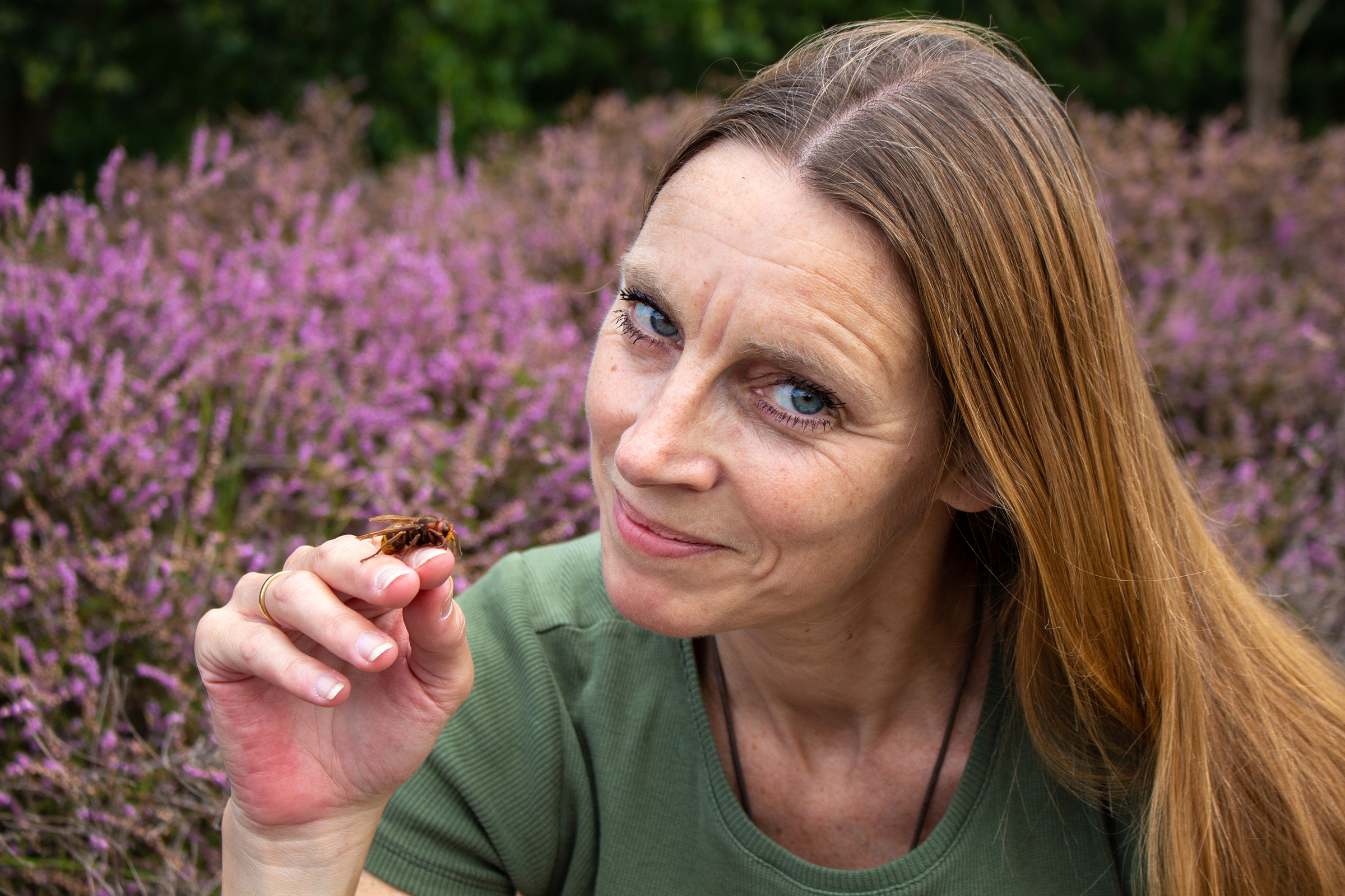 Lezing: Insecten in de hoofdrol