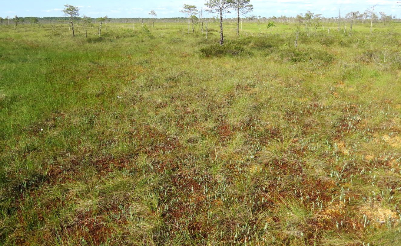 10.000 jaar landschapsgeschiedenis van Akersloot