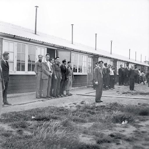 De Wortel van Gras: Van Joodse werkkampen tot Auschwitz