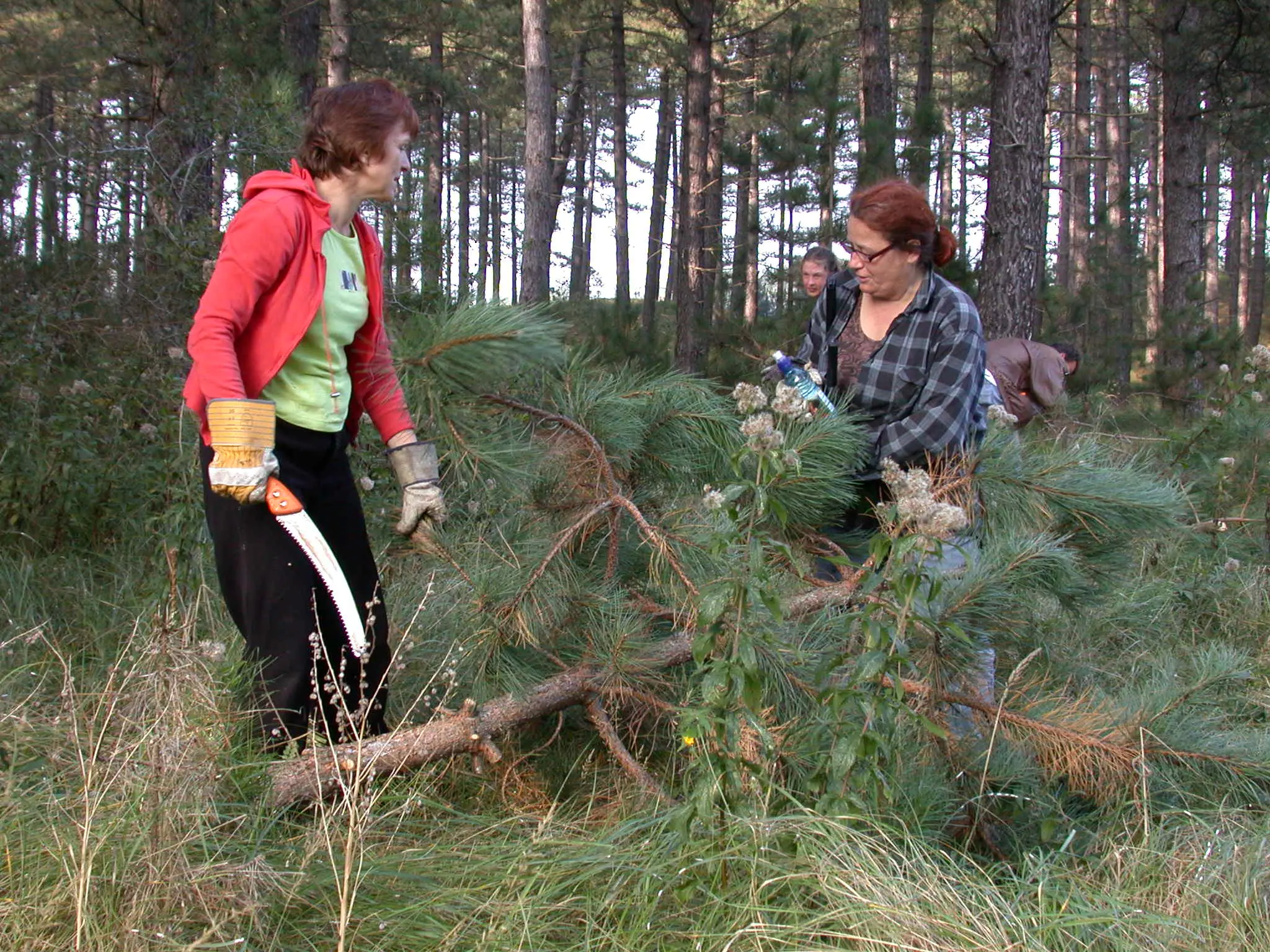 Natuurwerkdag De Hoep