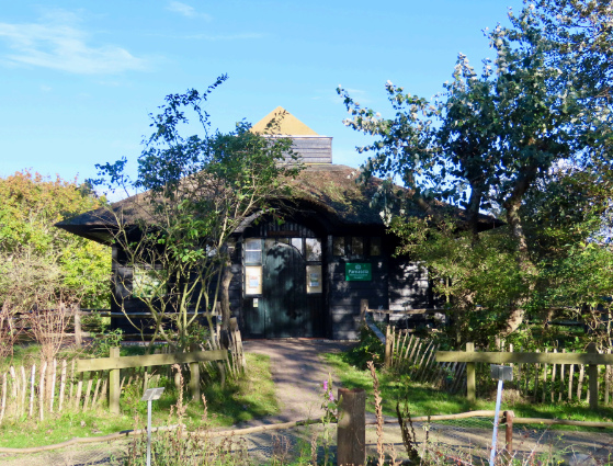 Natuur- en cultuurwandeling Bergen aan Zee